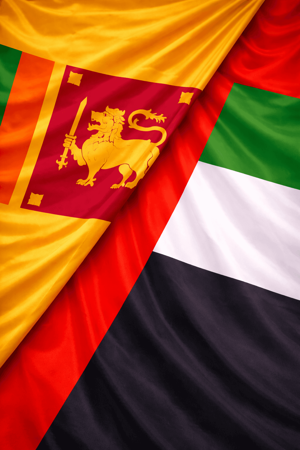VENTURE GREEN PVT LTD Strengthens Global Presence with Dubai Real Estate Operations